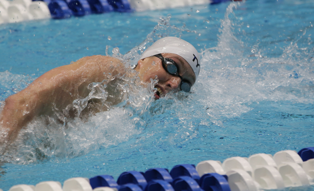 Men's Swimming & Diving Win Three Events, Set One DIII Record on Day One of NCAAs