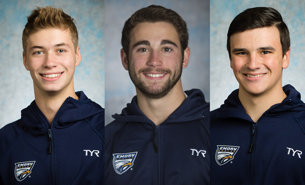 Men's Diving Trio to Compete at NCAA Regionals at Grinnell