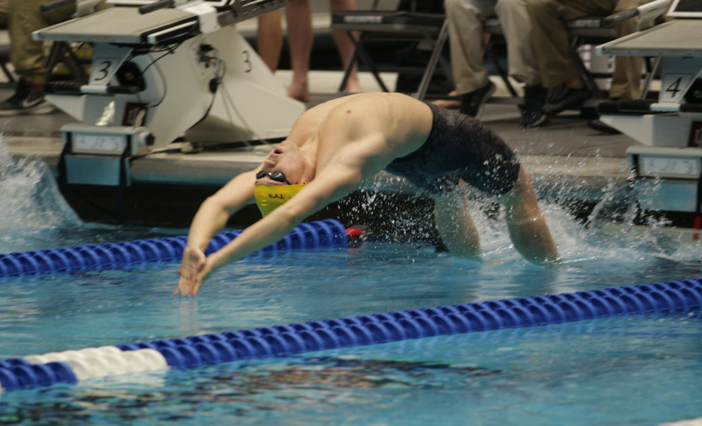 Emory Swimming & Diving Hosts Queens University of Charlotte in Dual Meet