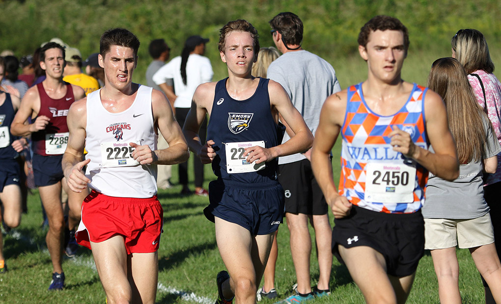 Emory Men's Cross Country Claims First Place at Berry Invitational; Women Finish Second