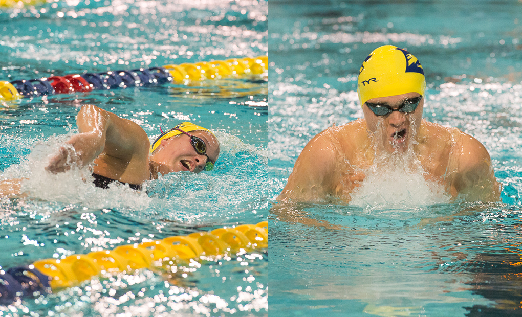 Swimming & Diving Sweeps Emory Fall Invitational