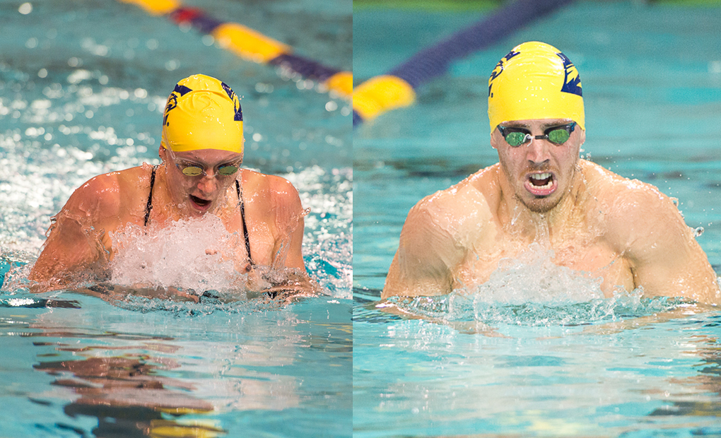 Swimming & Diving Hosts Centre Saturday on Senior Day