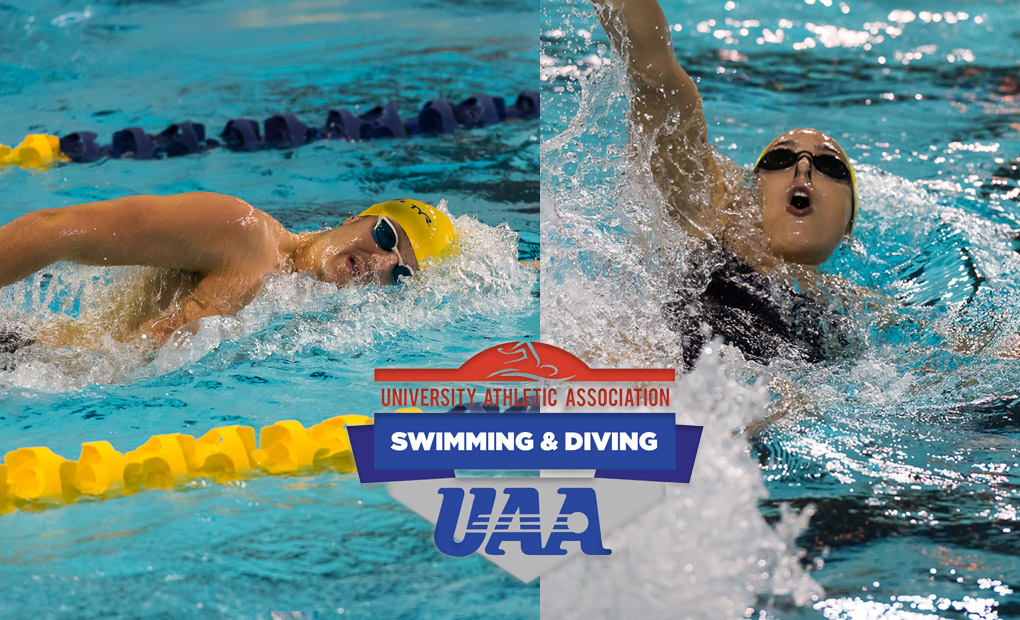 Swimming & Diving Gears Up for 33rd Annual UAA Championships in Chicago