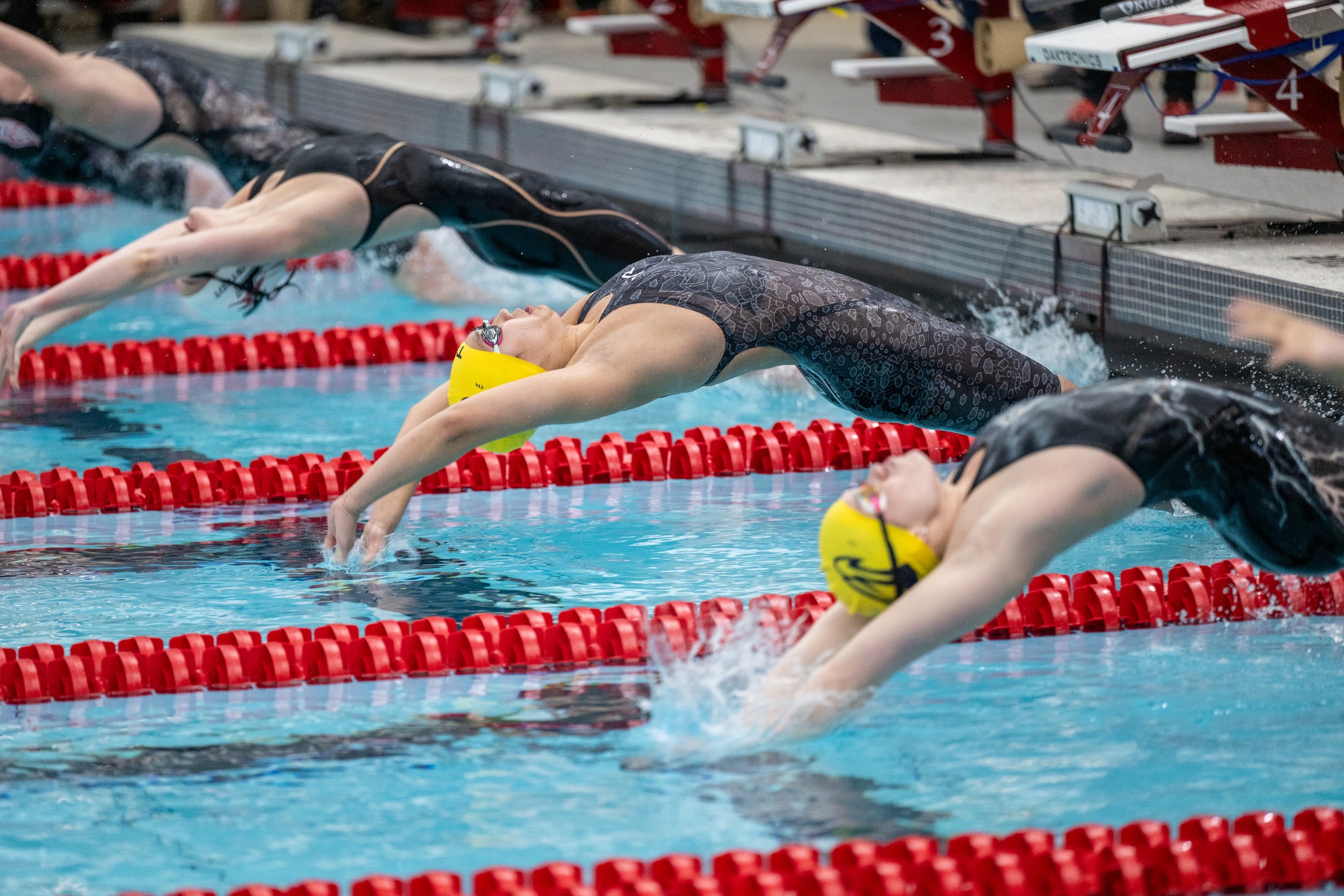 Swimming & Diving Conclude Denison Invite with Third Place Finishes