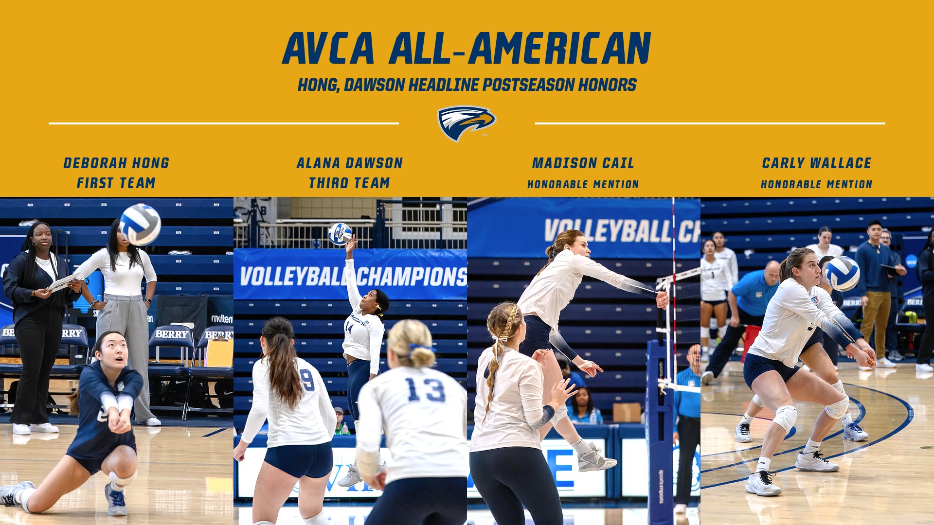 Volleyball Lands Four All-Americans; Hong Headlines First Team Selection